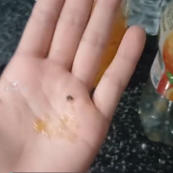 Cappy İçecekten Böcek Çıkması