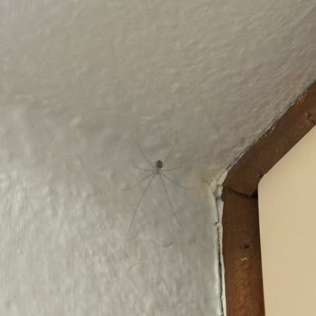 Görsellerle Uyuşmayan Ve Kirli Oda İçin Ücret İadesi Talebi