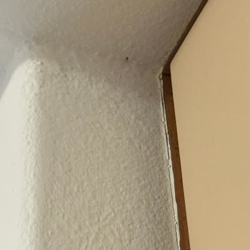 Görsellerle Uyuşmayan Ve Kirli Oda İçin Ücret İadesi Talebi