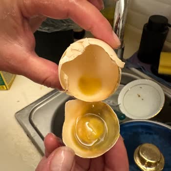 Organik Yumurta Paketi İçinde Siyah Koku Ve Bozulmuş Yumurtalar Sağlık Riski Oluşturdu