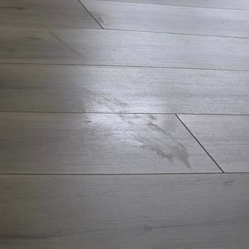 Parke Zararına Telafi Talebi