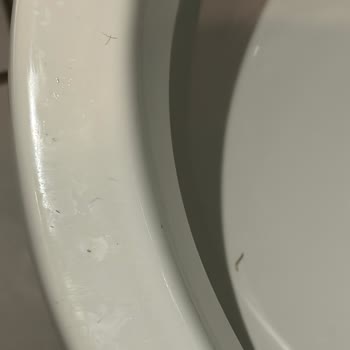 Best Western Brussels South Otelinde Hijyen Eksikliği Ve Şiddet Tehdidi