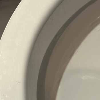 Best Western Brussels South Otelinde Hijyen Eksikliği Ve Şiddet Tehdidi