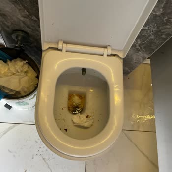 Şile Sahil Kamp'ta Temel İhtiyaçlar Karşılanmıyor; Su, Elektrik Ve Hijyenik Tuvalet Sorunları