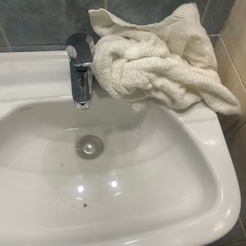 Assembly Hotelinde Kirli Oda Böcek Sorunu Ve Çözüm Yokluğu