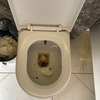 Sahilkamp Şile’de Elektrik Ve Su Kesintisi, Hijyen Sorunu