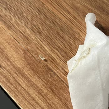 Göl Evim Sapanca Dönüş Alamadım Ve Mağduriyetimiz Giderilmedi