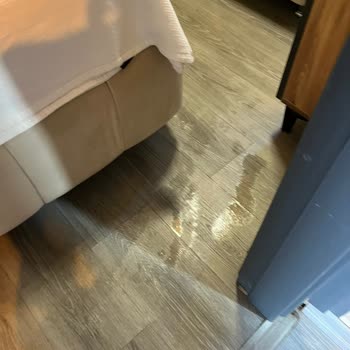 Göl Evim Sapanca Dönüş Alamadım Ve Mağduriyetimiz Giderilmedi