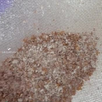 Söke Undan Böcek Çıktı