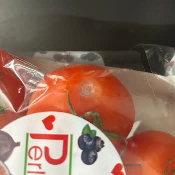 Çürük Ve Küflü Ürünler, Müşteri Hizmetleri Yanıtsız, Acil Çözüm Bekleniyor