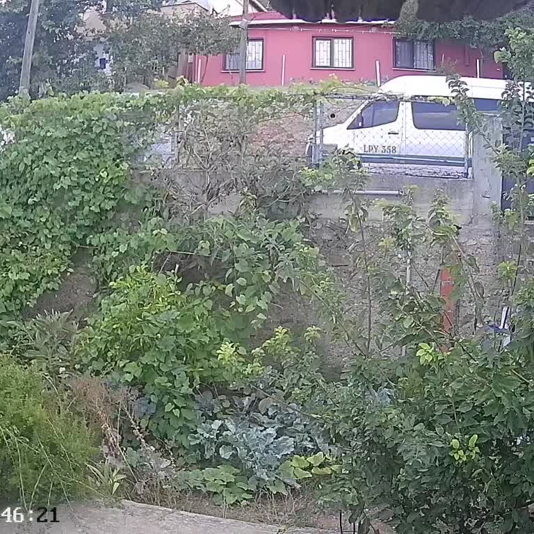 Duvar Sonundaki Araç İşgali Mahalle Huzurunu Sarsıyor