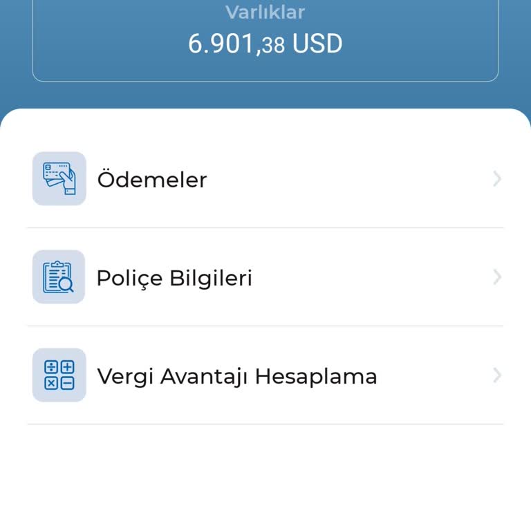 Beklenen Tutarla Gerçek Ödeme Arasındaki 290 USD Farkı Ve Açıklanmayan Kesintiler