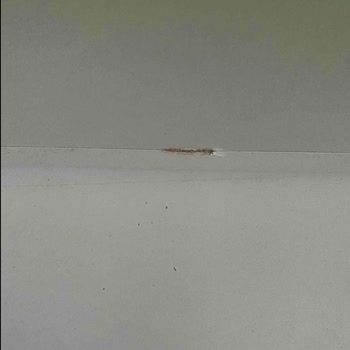 Hasarlı Raflar, Tedarik Süreci İptal Edildi, Satıcı Sorumluluğu Reddetti