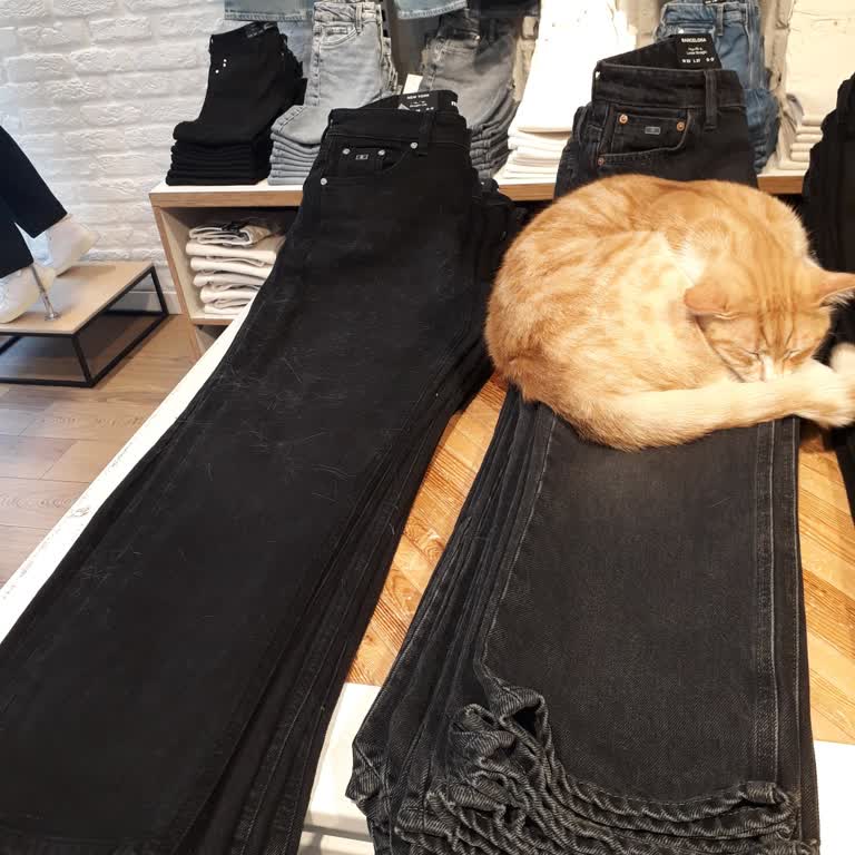 Mavi Mağazasında Kedi Tüyü Ve Hijyen İhmalı