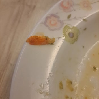Hijyen Endişeleri, Ayıklanmamış Karides Ve Saç Teli