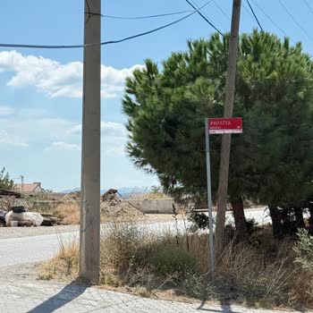 Sarkan Kablo Araç Ve Yaya Güvenliğini Tehdit Ediyor