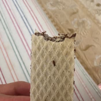 Eti Hoşbeş Gofrette Böcek Tespiti Ve Kalite Kontrolü Açıklaması Talebi
