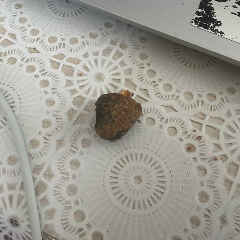 Tuzlu Fıstıkta Taş Bulunması Sağlığımı Ve Güvenliğimi Tehlikeye Attı
