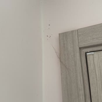Villa Yasmina’da Hijyen İhlali Ve Oda Prime Sorumluluğu