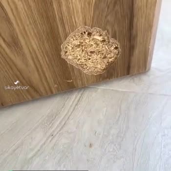 Weltew Home Masa İçi Talaş Çıktı!