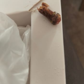 Malatya Pazarı Şehzade Nar Aromalı Antep Fıstıklı Lokumda Hayati Tehlike Yaratan Yabancı Madde