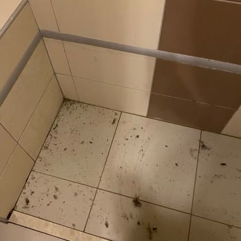 Hedef Resort Spa Hotel’de Çalışmayan Klima, Hijyen Eksikliği Ve Su Baskını