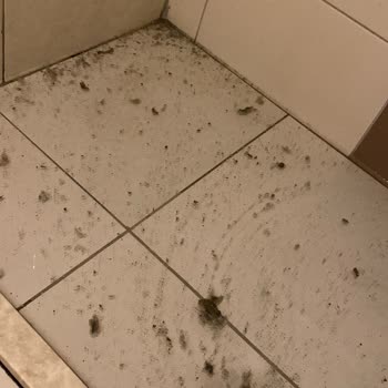 Hedef Resort Spa Hotel’de Çalışmayan Klima, Hijyen Eksikliği Ve Su Baskını