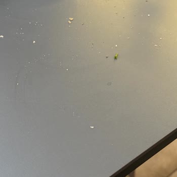 Köfteci Y**** Şubesinde Uzun Bekleme Ve Saygısız Personel Ve Kirli Hijyen