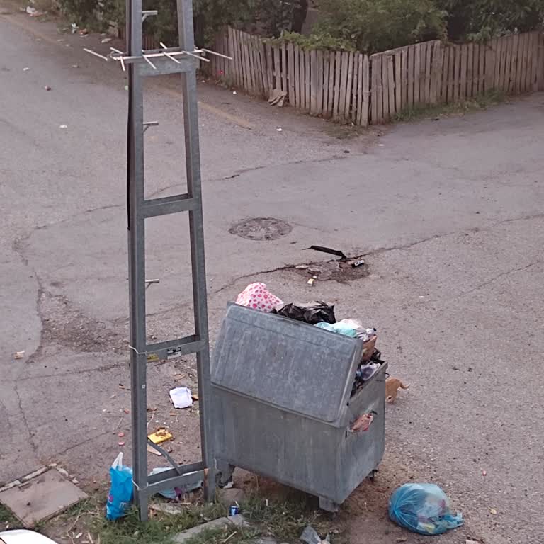 Çöp Toplama Yetersizliği Mahalleyi Zehirli Kokuya Boğdu