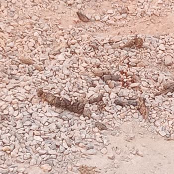 Mithatpaşa Mahallesi’ndeki Açık Yol Çukuru Altı Aylık Süreyle Çevre Ve Sağlığı Tehdit Ediyor