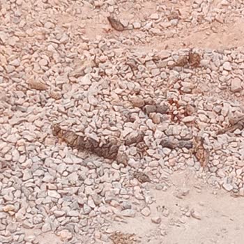 Mithatpaşa Mahallesi’ndeki Açık Yol Çukuru Altı Aylık Süreyle Çevre Ve Sağlığı Tehdit Ediyor