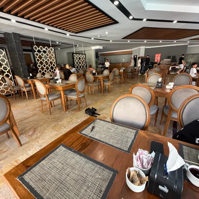 Clover Magic Park Side Hotel’de Kediler, Klima Ve İade Sorunu