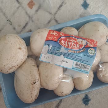 Migros Hemen Şubesinden Gelen Mantar Ürününün Son Kullanma Tarihi Eksikliği Ve İade Talebi