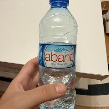 Abant Sularında Rutubet Kokusu Ve Mide Rahatsızlığı