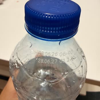 Abant Sularında Rutubet Kokusu Ve Mide Rahatsızlığı