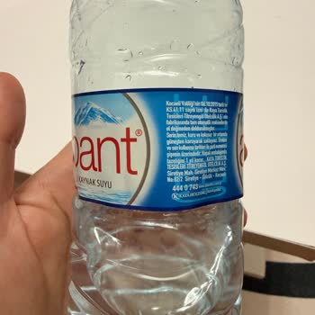 Abant Sularında Rutubet Kokusu Ve Mide Rahatsızlığı