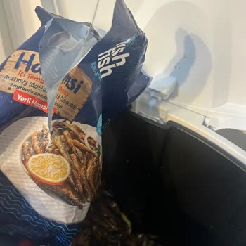 Metalik Koku Ve Tat Sorunu Olan Hamsi Gıda Güvenliği Endişesi