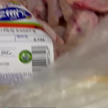 Başgimpa Son Kullanma Tarihi Gelmemiş Tavukların Bozuk Çıkması