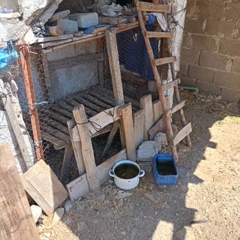 İnek, Tavuk Ve Köpek Beslenmesi Nedeniyle Çevre Kirliliği Ve Gürültü Şikayeti
