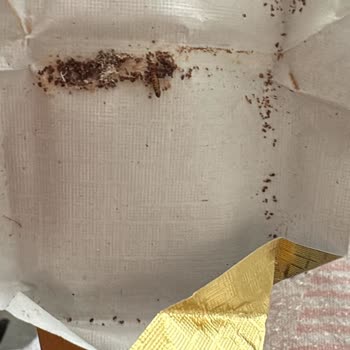 Kapalı Kutudaki Çikolatada Kurt Çıktı Ve İade Reddi