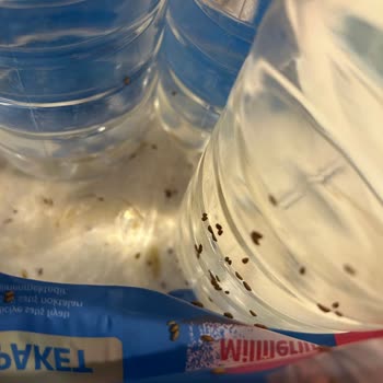 Teslim Edilmeyen KFC Siparişi Ve Kötü Kokulu Su Şişeleri İçin İade Ve İnceleme Talebi