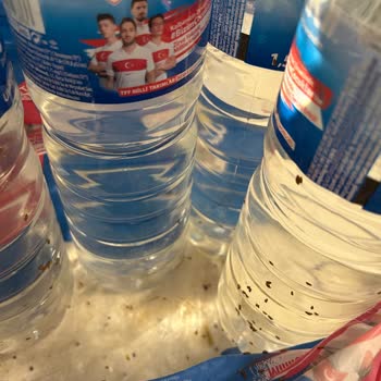 Teslim Edilmeyen KFC Siparişi Ve Kötü Kokulu Su Şişeleri İçin İade Ve İnceleme Talebi