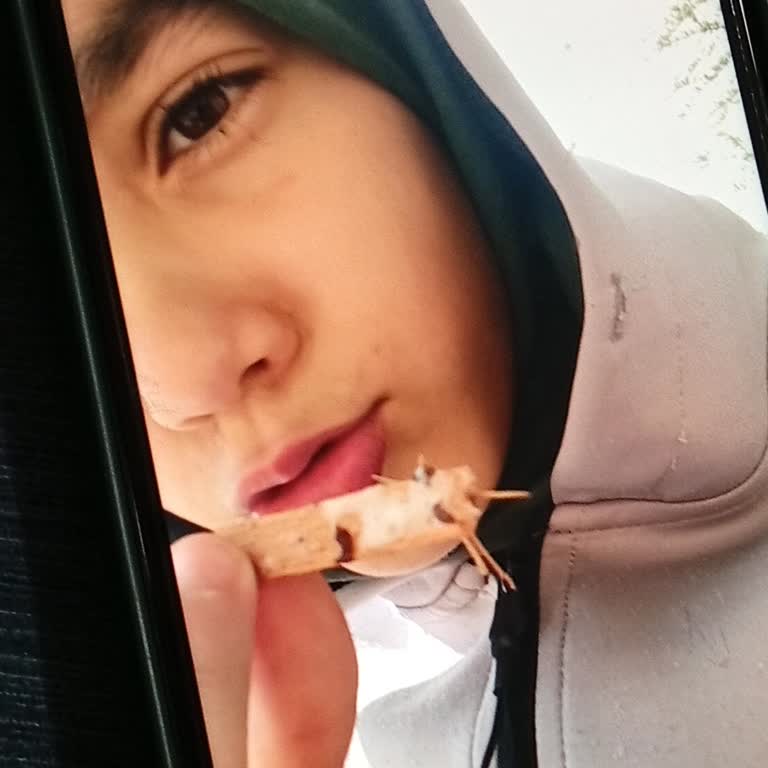 Kids Mis Dondurmasında Ekstra Kırık Çubuk Boğaz Tehlikesi