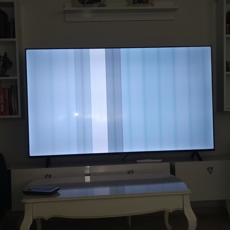 BİM Dijitsu 65 İnç Televizyonun Ekran Arızası Ve Garantili Çözüm Talebi