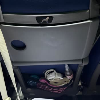 İlan Edilen Relax Tekli Koltuk Yerine Dar Otobüs Gönderildi