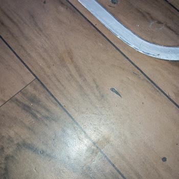 Kırık Koltuklar, Kirli Otobüs Ve Karınca Dolu Araçta Güvenlik Sorunu