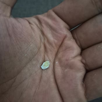 Protein Tozunda Yabancı Parça Bulunması Sağlık Korkusuna Neden Oldu