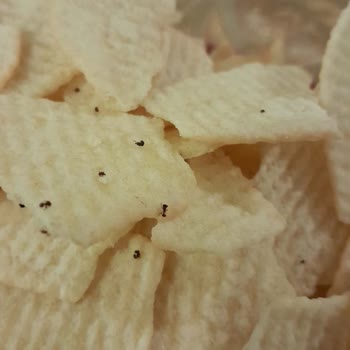 Lay’s Cipsinde Böcek Sorunu, Hijyen Ve Sağlık Riskleri