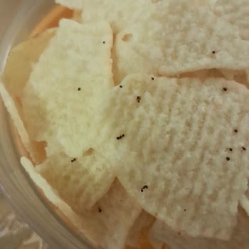 Lay’s Cipsinde Böcek Sorunu, Hijyen Ve Sağlık Riskleri