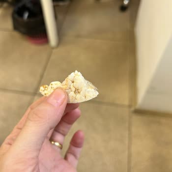 Rice Up Pirinç Patlağında Canlı Kurt Ve Ağ Benzeri Oluşumlar